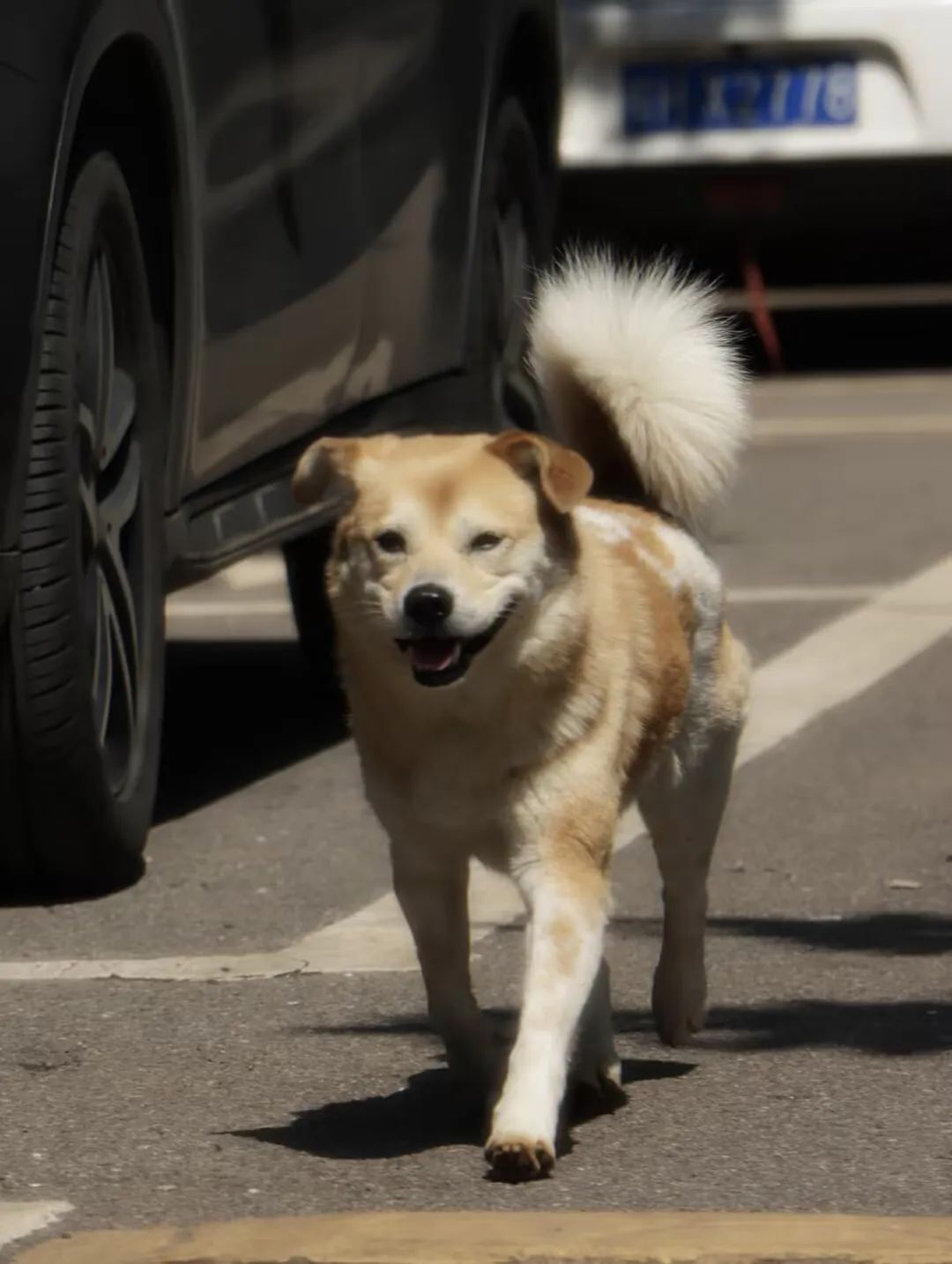 ͼƬ